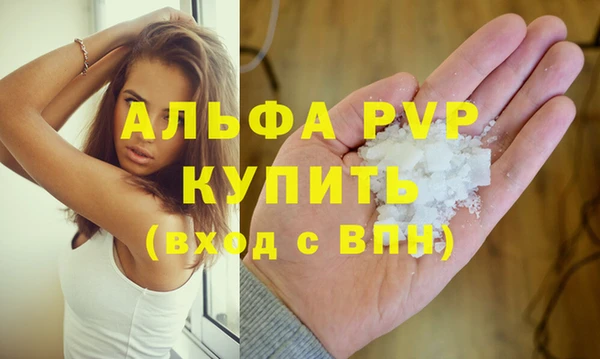 ECSTASY Гусь-Хрустальный
