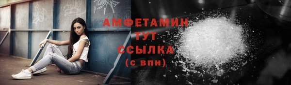 ECSTASY Гусь-Хрустальный