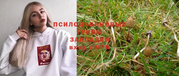 эйфоретик Гусиноозёрск