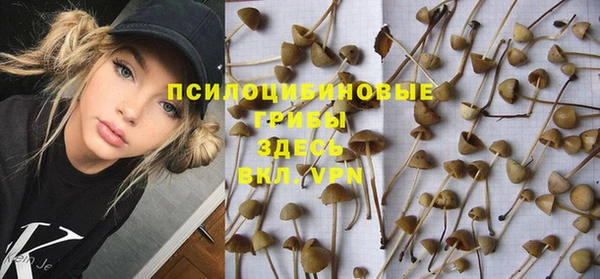 ECSTASY Гусь-Хрустальный