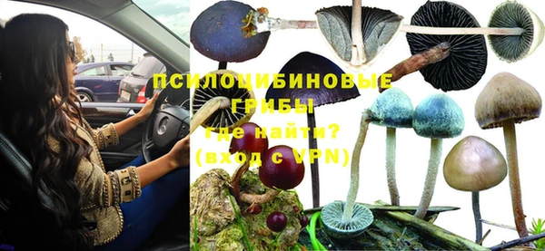 эйфоретик Гусиноозёрск