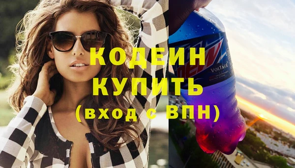 ECSTASY Гусь-Хрустальный
