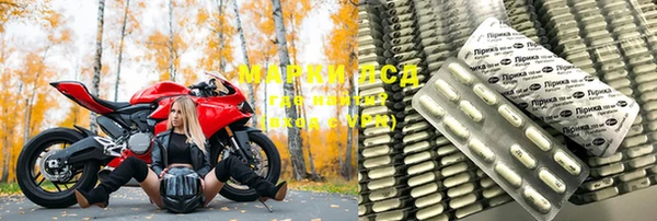 стаф Осинники