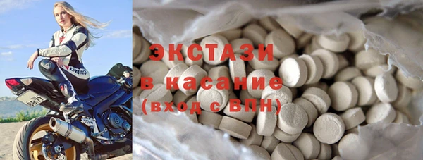ECSTASY Гусь-Хрустальный